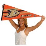 WinCraft Anaheim Ducks Pennant