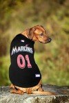 Official MLB Miami Marlins Pet Jersey for Dogs & Cats, Size X-Large - Stylish Baseball Jersey for Your Furry Fan- Show Off Team Spirit with The Perfect Fan Apparel Gear for Pet, Dog & Cat