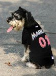 Official MLB Miami Marlins Pet Jersey for Dogs & Cats, Size X-Large - Stylish Baseball Jersey for Your Furry Fan- Show Off Team Spirit with The Perfect Fan Apparel Gear for Pet, Dog & Cat