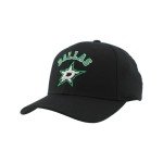 ZHATS Standard NHL Officially Licensed Hat Competitor Black, One Size
