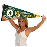 WinCraft Athletics 9 Time Champions Pennant Flag