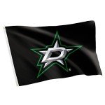 Desert Cactus Dallas Stars Flag NHL 100% Polyester Indoor Outdoor 3x5 feet National Hockey League Team (Design #2)