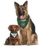 NHL Dallas Stars Bandana for Dogs & Cats, Large/X-Large. - Cute & Stylish Bandana! The Perfect Hockey Fan Scarf Bandana, Great for Birthdays Or Any Party!