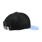 ZHATS Standard NHL Officially Licensed Adjustable Snapback Hat Harvest, Dark Stone, One Size