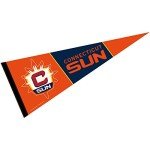 WinCraft Connecticut Sun Pennant Banner Flag