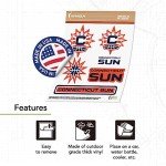 Desert Cactus Connecticut Sun Sticker WNBA Women's National Basketball Association Officially Licensed Vinyl Decal Laptop Water Bottle Car Scrapbook (Type 2)