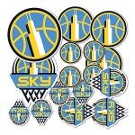 Desert Cactus Chicago Sky Sticker WNBA Women's National Basketball Association Officially Licensed Vinyl Decal Laptop Water Bottle Car Scrapbook 6.65x4.06 Sheet (Type 1-1)