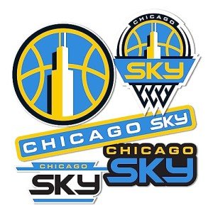 Desert Cactus Chicago Sky WNBA Women's National Basketball Association Officially Licensed Sticker Vinyl Decal Laptop Water Bottle Car Scrapbook (Type 2)