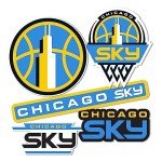 Desert Cactus Chicago Sky WNBA Women's National Basketball Association Officially Licensed Sticker Vinyl Decal Laptop Water Bottle Car Scrapbook (Type 2)