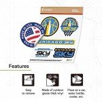 Desert Cactus Chicago Sky WNBA Women's National Basketball Association Officially Licensed Sticker Vinyl Decal Laptop Water Bottle Car Scrapbook (Type 2)