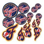 Desert Cactus Indiana Fever Sticker WNBA Officially Licensed Vinyl Decal Laptop Water Bottle Car Scrapbook Sheet (Type 1-1)