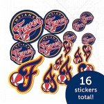 Desert Cactus Indiana Fever Sticker WNBA Officially Licensed Vinyl Decal Laptop Water Bottle Car Scrapbook Sheet (Type 1-1)