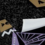 NORTHWEST Golden State Valkyries WNBA Funky Fresh Printed Wall Hanging 34 x 40 inches