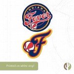 Desert Cactus Indiana Fever Sticker WNBA Women's National Basketball Association Officially Licensed Vinyl Decal Laptop Water Bottle Car Scrapbook (4 Inch)