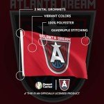 Desert Cactus Atlanta Dream Team Flag WNBA 100% Polyester Indoor Outdoor 3x5 feet Flag (Red)