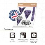 Desert Cactus Golden State Valkyries WNBA Women's National Basketball Association Officially Licensed Sticker Vinyl Decal Laptop Water Bottle Car Scrapbook (Type 2-1)