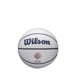 WILSON WNBA Mini Autograph Basketball - Connecticut Sun, Size 3-22"