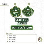 Desert Cactus Seattle Storm Sticker WNBA Women's National Basketball Association Officially Licensed Vinyl Decal Laptop Water Bottle Car Scrapbook Sheet (Type 2)