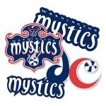 Desert Cactus Washington Mystics Sticker WNBA Women's National Basketball Association Officially Licensed Vinyl Decal Laptop Water Bottle Car Scrapbook (Type 2)