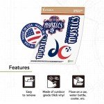 Desert Cactus Washington Mystics Sticker WNBA Women's National Basketball Association Officially Licensed Vinyl Decal Laptop Water Bottle Car Scrapbook (Type 2)