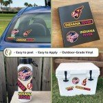 Desert Cactus Indiana Fever Sticker WNBA Women's National Basketball Association Officially Licensed Vinyl Decal Laptop Water Bottle Car Scrapbook Sheet (Type 2)