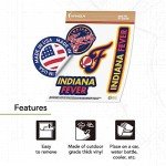 Desert Cactus Indiana Fever Sticker WNBA Women's National Basketball Association Officially Licensed Vinyl Decal Laptop Water Bottle Car Scrapbook Sheet (Type 2)