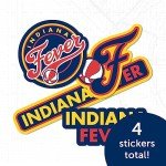 Desert Cactus Indiana Fever Sticker WNBA Women's National Basketball Association Officially Licensed Vinyl Decal Laptop Water Bottle Car Scrapbook Sheet (Type 2)