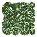Desert Cactus Seattle Storm Sticker WNBA Women's National Basketball Association Officially Licensed Vinyl Decal Laptop Water Bottle Car Scrapbook (Type 1-1)