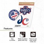 Desert Cactus Washington Mystics Sticker WNBA Women's National Basketball Association Officially Licensed Sticker Vinyl Decal Laptop Water Bottle Car Scrapbook (4 Inch)