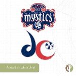 Desert Cactus Washington Mystics Sticker WNBA Women's National Basketball Association Officially Licensed Sticker Vinyl Decal Laptop Water Bottle Car Scrapbook (4 Inch)