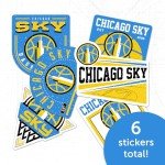 Desert Cactus Chicago Sky Sticker WNBA Women's National Basketball Association Officially Licensed Vinyl Decal Laptop Water Bottle Car Scrapbook (Type 2-3)
