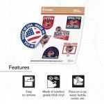 Desert Cactus Indiana Fever Sticker WNBA Women's National Basketball Association Officially Licensed Vinyl Decal Laptop Water Bottle Car Scrapbook (Type 2-3)