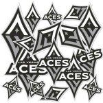 Desert Cactus Las Vegas Aces WNBA Women's National Basketball Association Officially Licensed Sticker Vinyl Decal Laptop Water Bottle Car Scrapbook (Type 1-2)