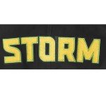 Pro Standard MENS WNBA SEATTLE STORM CLASSIC CHENILLE PULL OVER HOODIE BLACK M