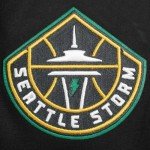 Pro Standard MENS WNBA SEATTLE STORM CLASSIC CHENILLE PULL OVER HOODIE BLACK M