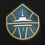 Pro Standard MENS WNBA SEATTLE STORM CLASSIC CHENILLE PULL OVER HOODIE BLACK M