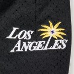 Pro Standard Mens WNBA Los Angeles Sparks MESH MESH Short Black 3XL