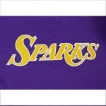 Pro Standard Mens WNBA Los Angeles Sparks Classic Chenille Short Sleeve Tee Purple L