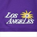 Pro Standard Mens WNBA Los Angeles Sparks Classic Chenille Short Sleeve Tee Purple L