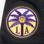 Pro Standard Mens WNBA Los Angeles Sparks MESH MESH Short Black L