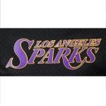 Pro Standard Mens WNBA Los Angeles Sparks MESH MESH Short Black L