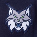 Pro Standard MENS WNBA MINNESOTA LYNX CLASSIC CHENILLE PULL OVER HOODIE MIDNIGHT NAVY 3XL