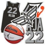 Desert Cactus A'ja Wilson Las Vegas Aces Sticker WNBA Women's National Basketball Association Officially Licensed Vinyl Decal Laptop Water Bottle Car Scrapbook (P1)