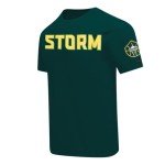 Pro Standard Mens WNBA Seattle Storm Classic Chenille Short Sleeve Tee Forest Green L