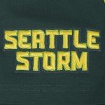 Pro Standard Mens WNBA Seattle Storm Classic Chenille Short Sleeve Tee Forest Green L