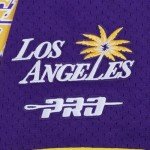 Pro Standard Mens WNBA Los Angeles Sparks Mesh Button Down Mesh Top Purple/Yellow M