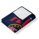 NORTHWEST Indiana Fever WNBA High Block Silk Touch Throw Blanket 50 x 60 inches