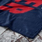 NORTHWEST Indiana Fever WNBA High Block Silk Touch Throw Blanket 50 x 60 inches