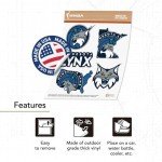 Desert Cactus Minnesota Lynx Sticker WNBA Women's National Basketball Association Officially Licensed Sticker Vinyl Decal Laptop Water Bottle Car Scrapbook (Type 2-2)