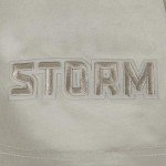 Pro Standard Mens WNBA Seattle Storm Neutral Short Sleeve Tee Taupe S